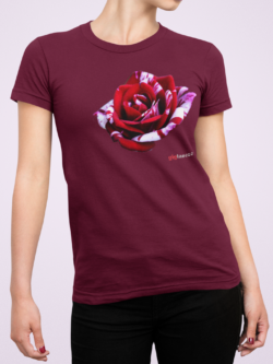 Camiseta Feminina Stamps